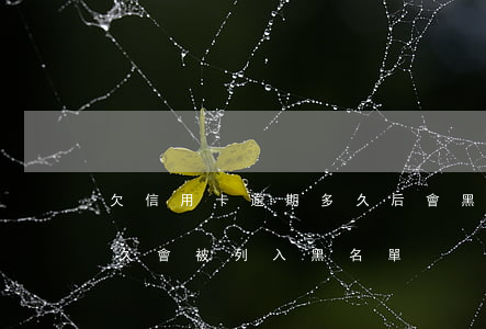 欠信用卡逾期多久后會黑名單，信用卡逾期多久會被列入黑名單？